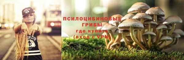 дмт Иннополис