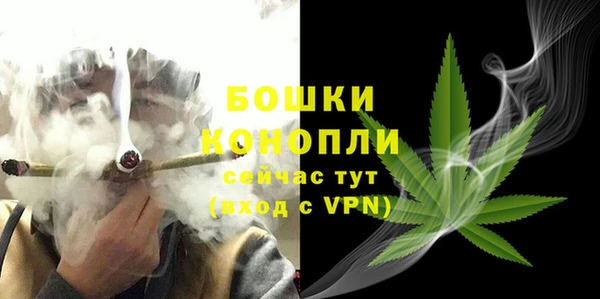 дмт Иннополис