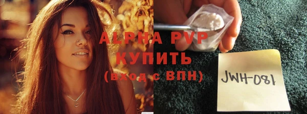 молекула духа Инсар