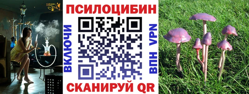 Псилоцибиновые грибы Psilocybe  купить  сайты  дарк нет официальный сайт  Ивантеевка 